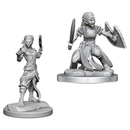 Nolzur's Marvelous Unpainted Miniatures - Shifter Fighter