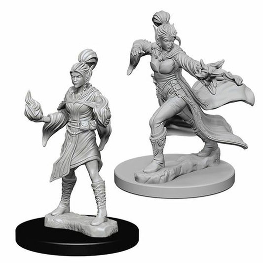 Pathfinder: Deep Cuts Unpainted Miniatures - Elf Female Sorceror