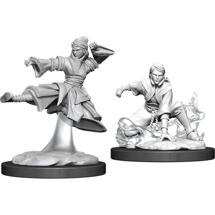 Nolzur's Marvelous Unpainted Miniatures - Female Human Monk