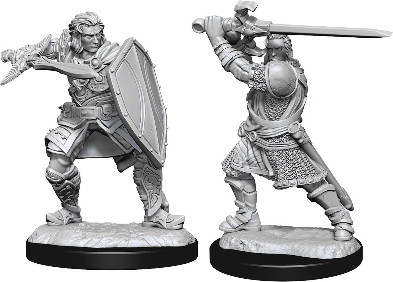 Nolzur's Marvelous Unpainted Miniatures - Human Paladin Male