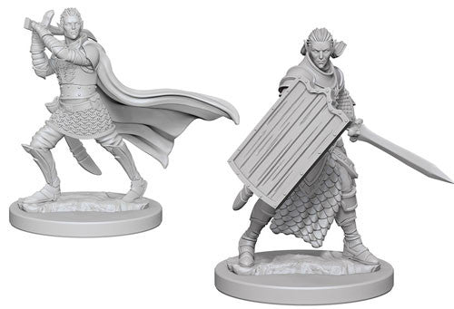 Pathfinder: Deep Cuts Unpainted Miniatures - Elf Male Paladin