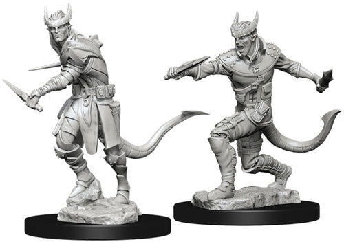 Nolzur's Marvelous Unpainted Miniatures - Tiefling Male Rogue