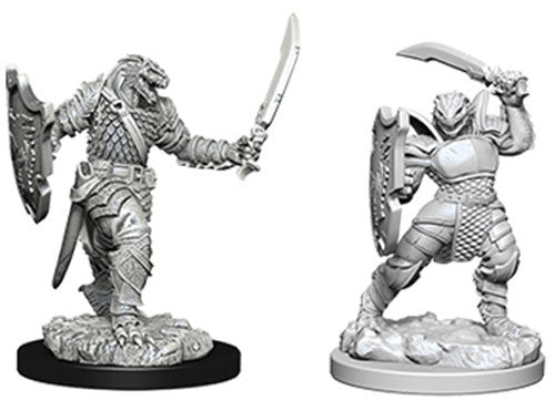 Nolzur's Marvelous Unpainted Miniatures - Dragonborn Female Paladin