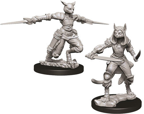 Nolzur's Marvelous Unpainted Miniatures - Female Tabaxi Rogue