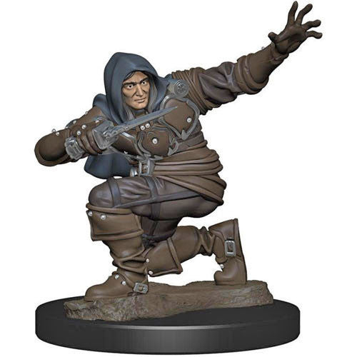 Pathfinder Battles: Premium Painted Figure - Human Rogue Male