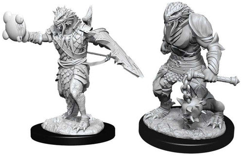 Nolzur's Marvelous Unpainted Miniatures - Male Dragonborn Paladin (90002)