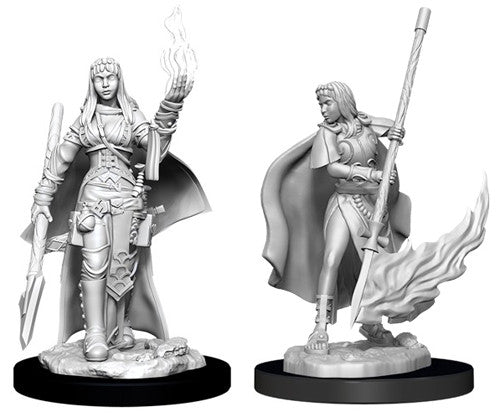 Pathfinder: Deep Cuts Unpainted Miniatures - Human Female Oracle