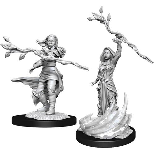 Nolzur's Marvelous Unpainted Miniatures - Human Druid Female