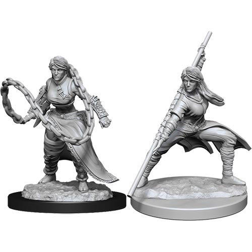 Nolzur's Marvelous Unpainted Miniatures - Human Monk  Female