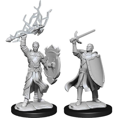 Nolzur's Marvelous Unpainted Miniatures - Half-Elf Paladin Male