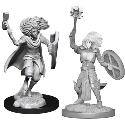 Nolzur's Marvelous Unpainted Miniatures - Changeling Cleric Male