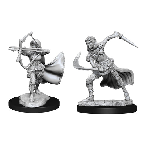 Nolzur's Marvelous Unpainted Miniatures - Air Genasi