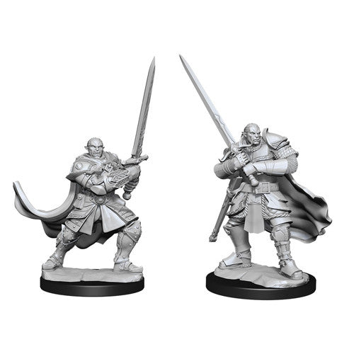 Nolzur's Marvelous Unpainted Miniatures - Half-Orc Male Paladin